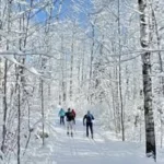 Wasi Cross Country Ski Club